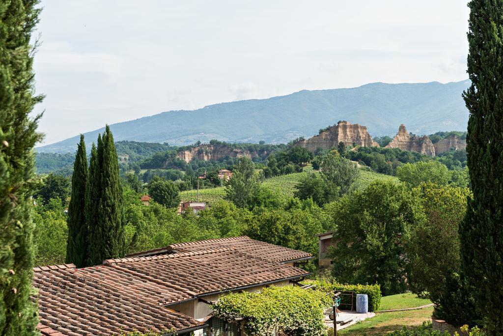 Villa Il Cedro Реджелло Екстер'єр фото